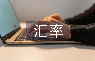 匯率政策論文