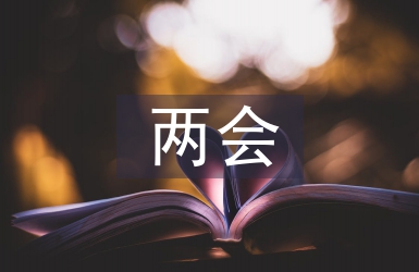 兩會論文