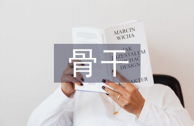 骨干教師論文