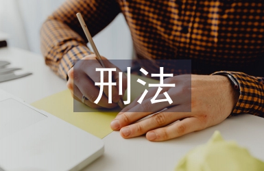 刑法法律論文