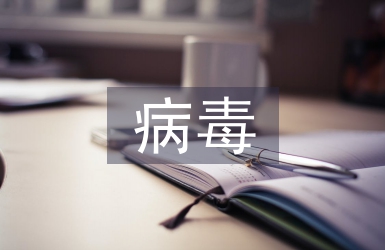 病毒營銷策劃方案