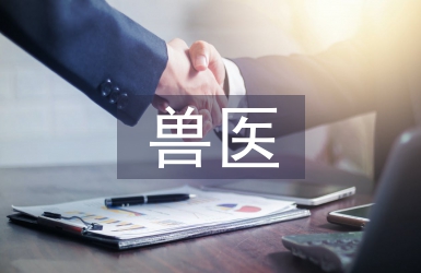 獸醫師職稱論文