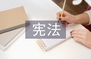 憲法原則論文