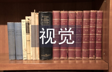 視覺(jué)藝術(shù)設(shè)計(jì)中圖形文字的運(yùn)用