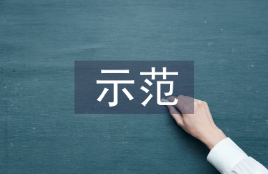 示范學校申報材料