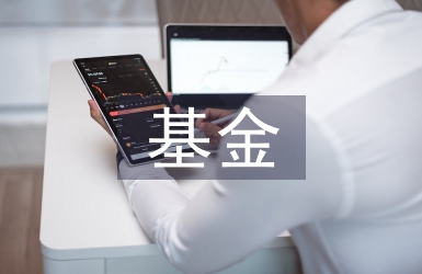 基金規模論文
