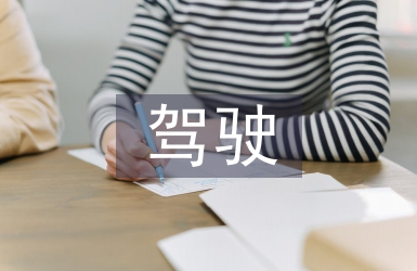 駕駛學習經驗總結