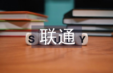 聯(lián)通工作思路