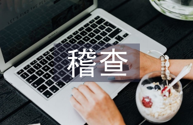稽查工作思路