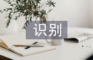 識(shí)別技術(shù)論文