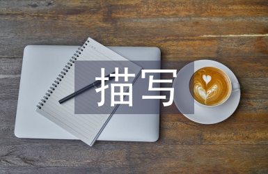 描寫(xiě)冬至的古詩(shī)句