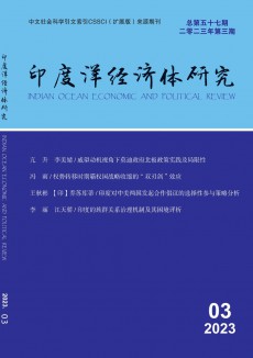 印度洋經濟體研究