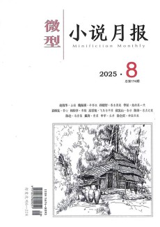 微型小說月報雜志