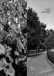 散文詩(shī)雜志